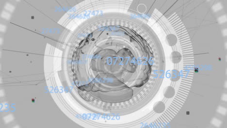 animation of data processing with scope scanning over digital brain on white background