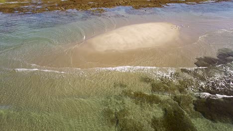 Aerial-high-angle-tilt-up-from-exposed-sand-bar-to-the-intertidal-beach-Rocky-Point,-Puerto-Peñasco,-Gulf-of-California,-Mexico