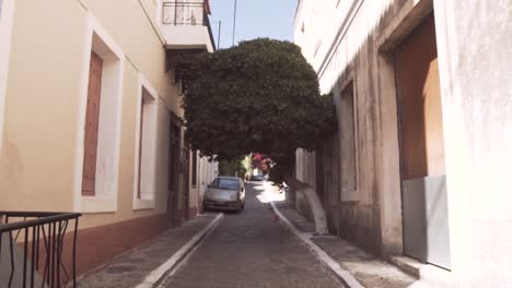 charming narrow alleyway in a greek village