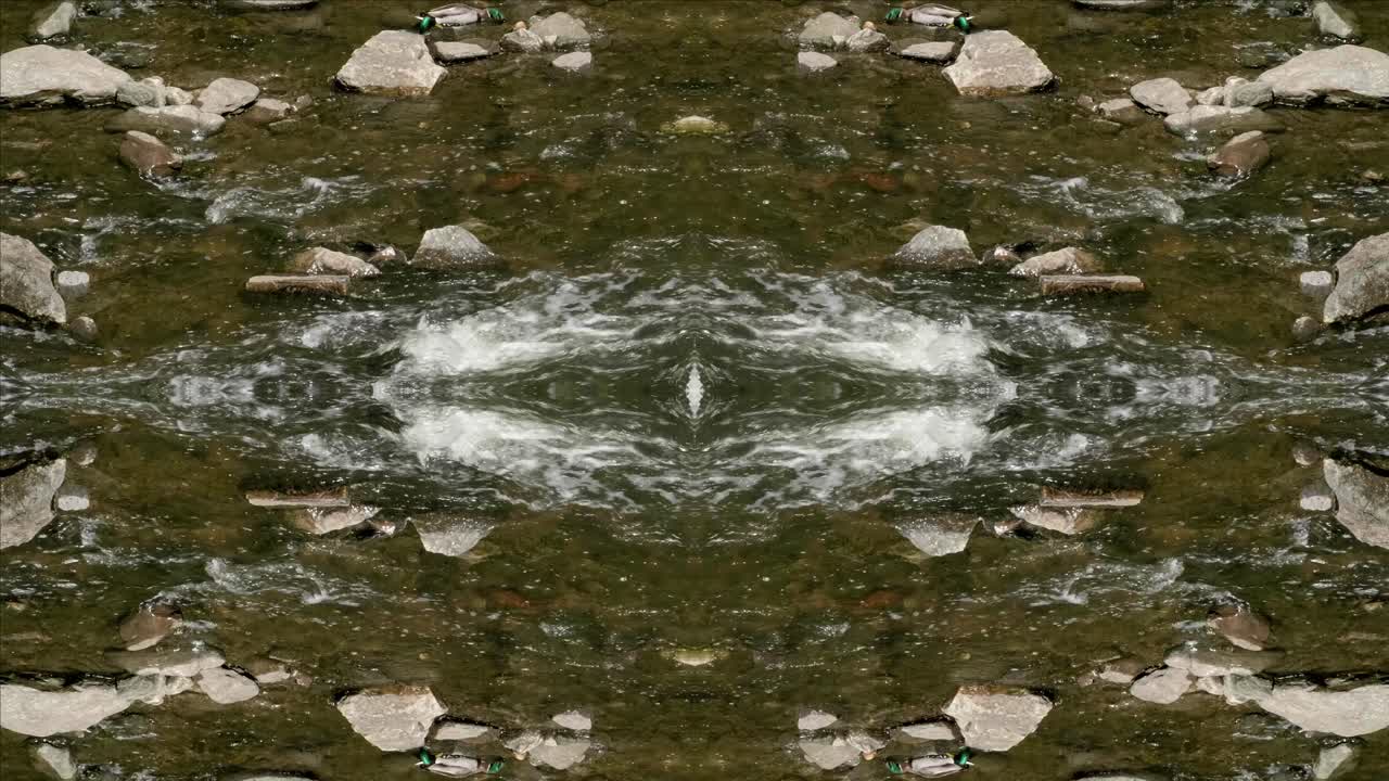 caleidoscopio de tomas de la naturaleza, wissahickon creek