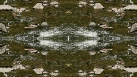 caleidoscoop van natuuropnamen, wissahickon creek