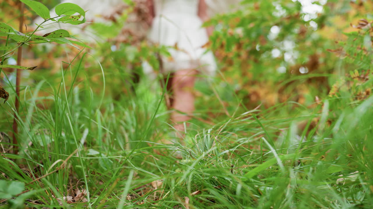 Close up of green forest grass and leaves with blurred view of god of love walking past with white wings, surrounded by soft light, plants, and gentle wind creating mystical natural atmosphere