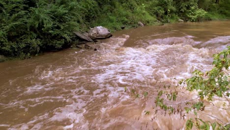 aguas de inundación a lo largo del río cerca de galax virginia