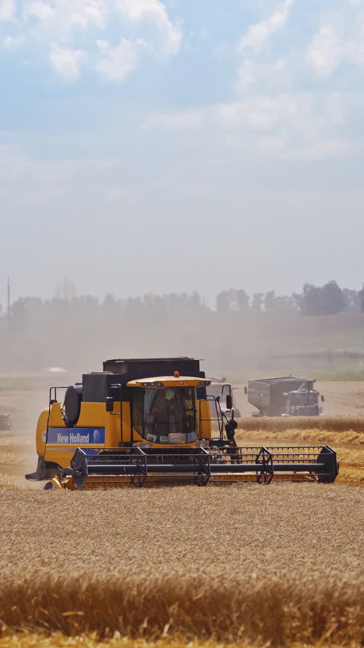 Høst af hvedemark. Landbrugsmaskine kører på marken med gylden moden hvede.