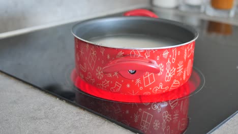 cooking with a red christmas pot