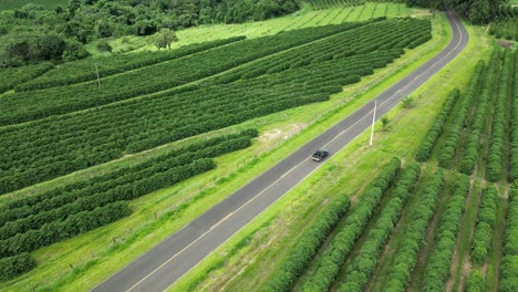 Coche-En-La-Carretera-En-La-Escena-Del-País-En-El-Paisaje-Rural