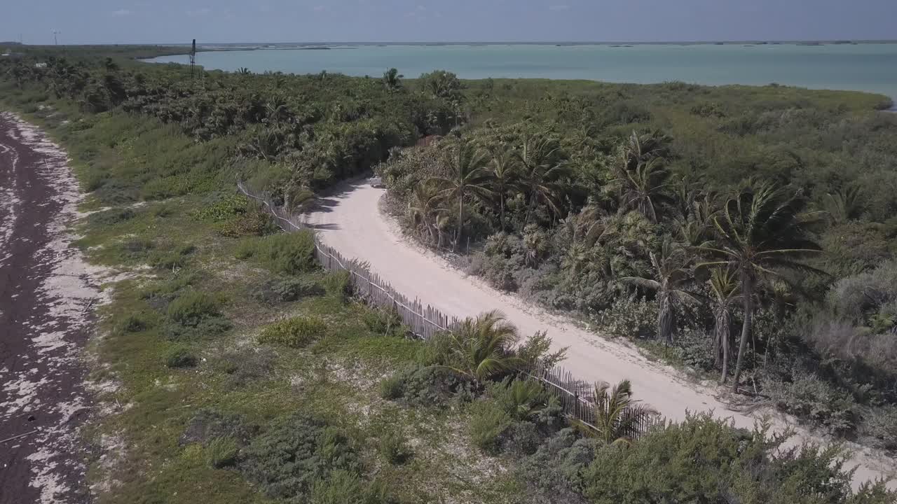 정글 도로 를 운전 하는 트럭