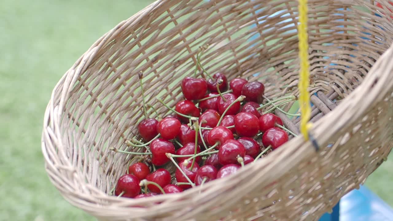 cerezas en una canasta de mimbre