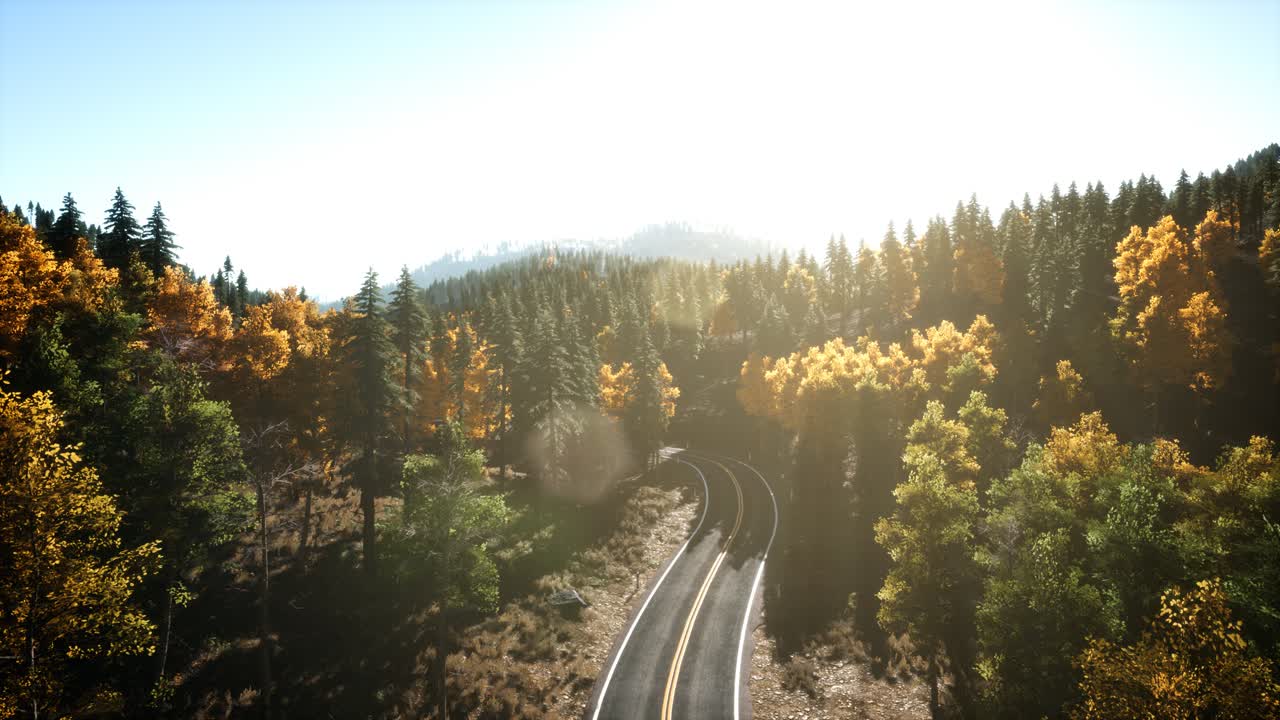 vuelo aéreo con drones sobre un bosque de pinos en la montaña al atardecer