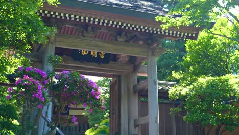 Slow-motion-slider-reveal-over-beautiful-wooden-temple-gate-in-greenery