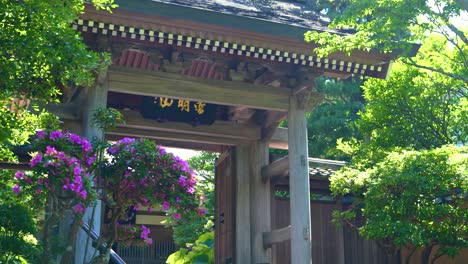 Slow motion slider reveal over beautiful wooden temple gate in greenery