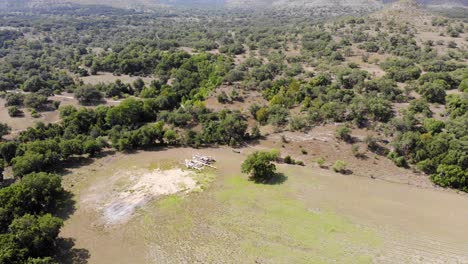 Der-Schwenk-Nach-Rechts-Zeigt-Ein-Hügelland-Mit-Feldern,-Bäumen-Und-Schließlich-Dem-Fluss-–-Luftaufnahmen-Des-Blanco-River-In-Wimberly,-Texas