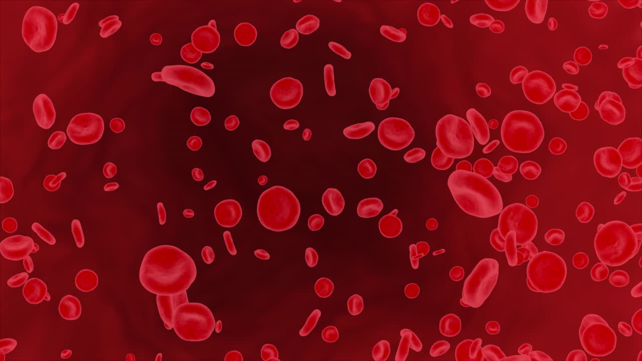 Red blood cells and particles flowing inside a human body motion graphic 3d health care science