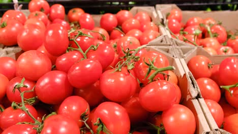 beautiful red tomatoes in the supermarket are on sale, natural products, slow motion