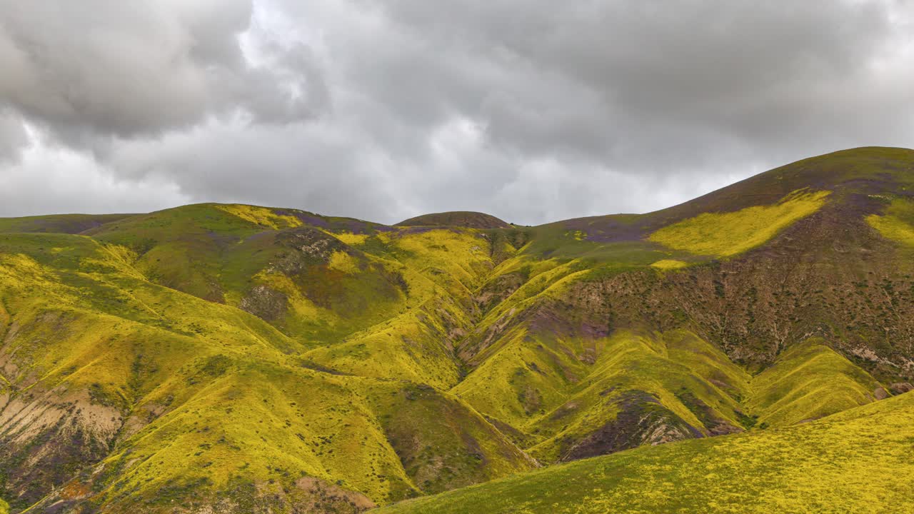 campos dorados de flores superbloom en las llanuras de carizzo y las montañas temblor timelapse