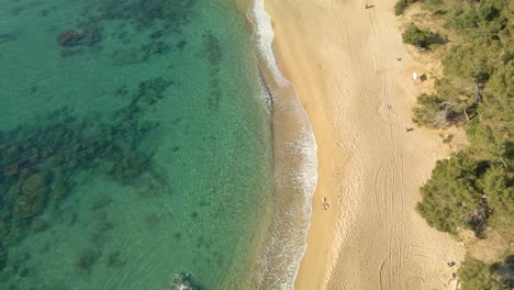 Vista-Aérea-Playa-Exótica-Paisaje-Arena-Dorada-Y-Agua-Clara,-Costa-Brava,-España