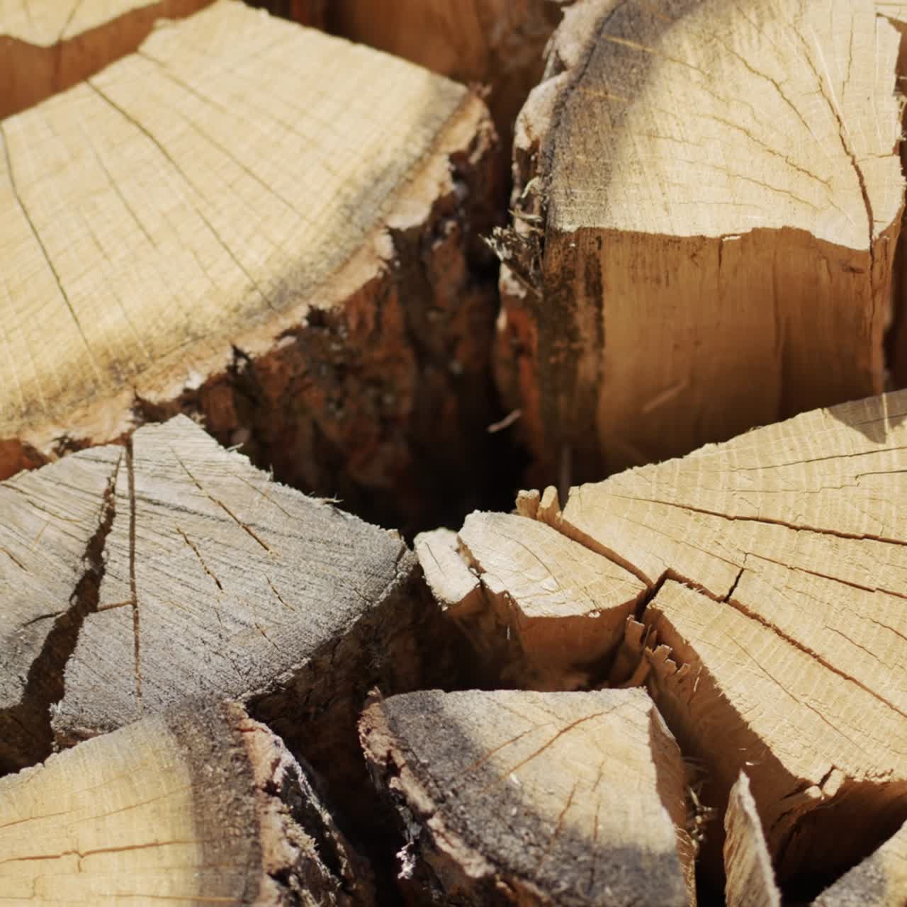 벽난로 용 참나무 통나무