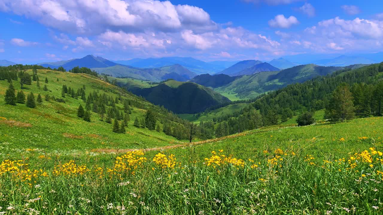 Breathtaking Landscape in a Lush Green Valley Surrounded by Rolling Mountains and Vibrant Wildflowers Under a Bright Blue Sky with Fluffy Clouds