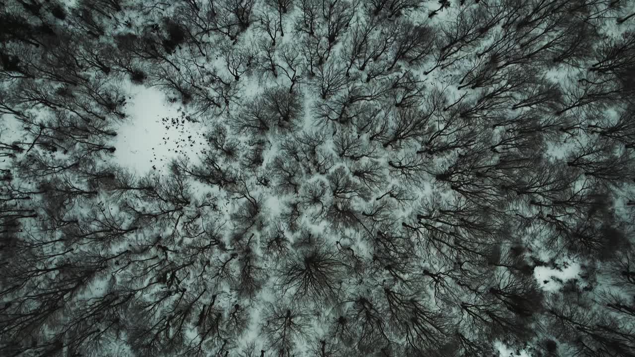 Vista dall'alto del monte Santiago innevato
