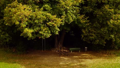 Autumn-colors---unveiling-shot-by-a-drone-starting-from-a-bench-with-a-swing-under-a-tree-up-to-the-view-over-a-bright-forest-at-fall