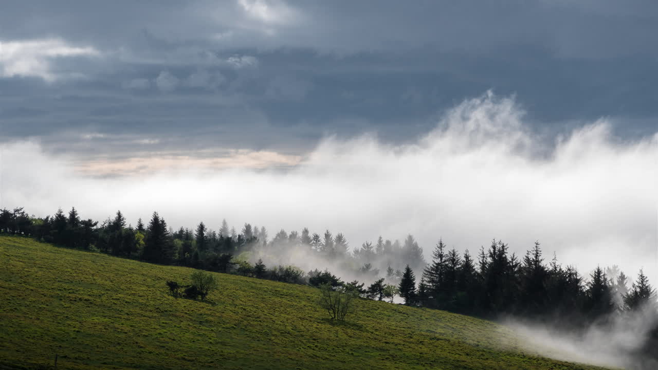 Low clouds come and go in the Pilat park in France