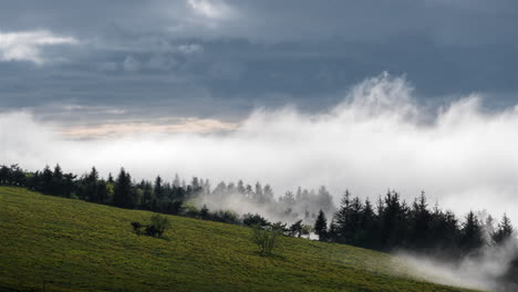 low clouds come and go in the pilat park in france