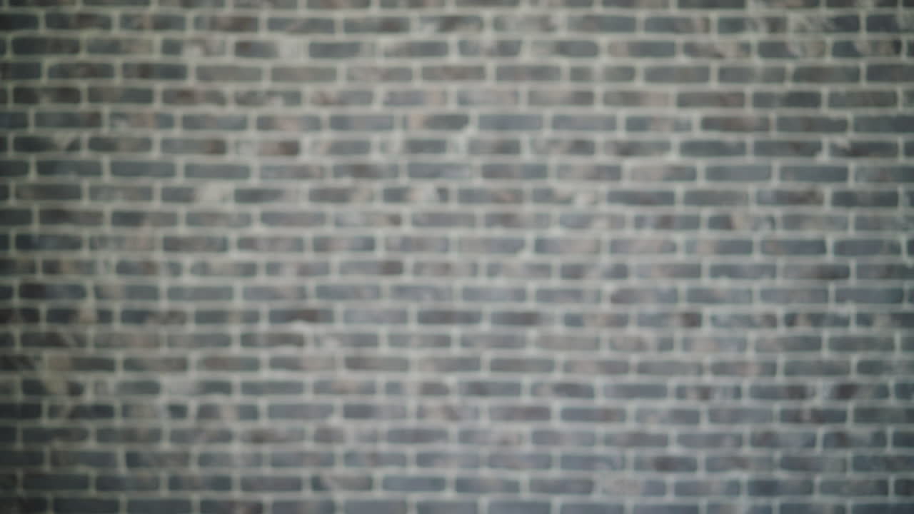 Woman with Curly Hair in Front of Brick Wall