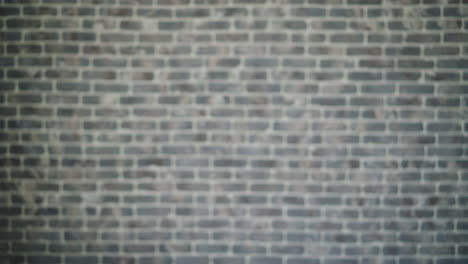 woman with curly hair in front of brick wall