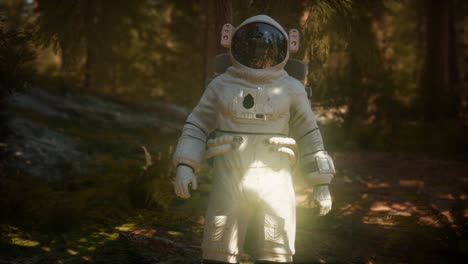 astronauta solitario en el bosque oscuro
