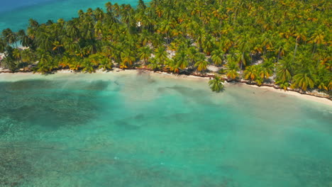 denso bosque de palmeras en el paraíso tropical caribeño con olas turquesas salpicando