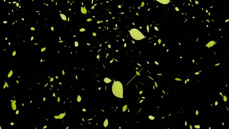 yellow leaves, autumn leaves, autumn leaves, falling particles, motion graphics