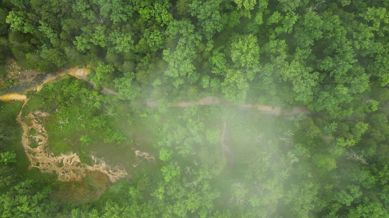 A drone shot looking straight down on an Ozark Mountain Fen in Missouri. Low-lying clouds can be seen just above the treeline, providing a misty look to the rare habitat