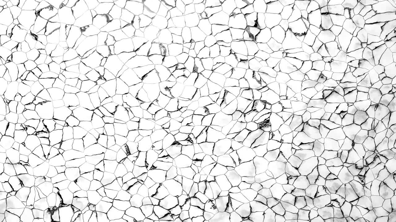 Dynamic Abstract Pattern of Cracks on White Background