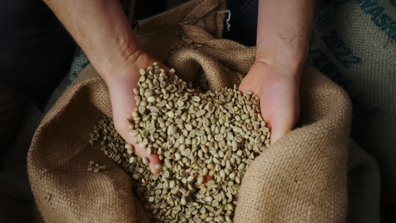 Hands holding green coffee beans in a burlap bag