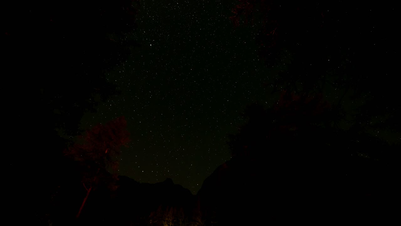 비행기와 떨어지는 별들이 하늘을 가로질러 흐르면서 야생에서 하늘을 단하는 별들의 타임스