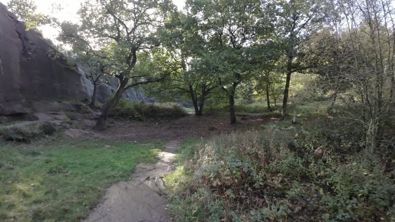 fpv drone tejiendo a través de un espeso bosque de cantera con la luz del sol brillando a través de los árboles y el follaje