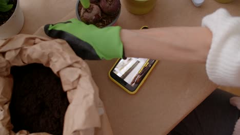 Gardening tutorial on planting houseplants