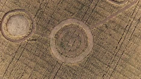 intricate crop circles in a wheat field