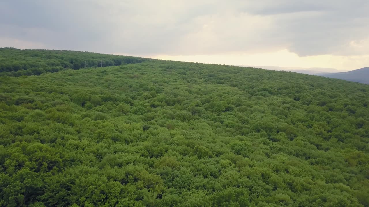 bosque verde mixto muy denso - vista desde arriba, imágenes aéreas sin espacios, muy estrechas