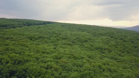 Bosque-Verde-Mixto-Muy-Denso---Vista-Desde-Arriba,-Imágenes-Aéreas-Sin-Espacios,-Muy-Estrechas