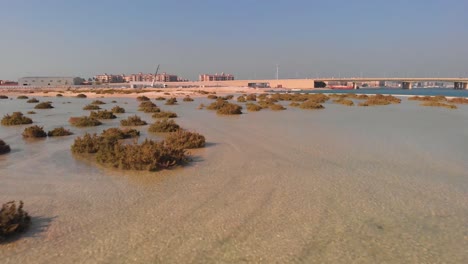 dron de baja altitud aérea aguas poco profundas plantas marinas y fondo de la ciudad