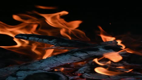 burning wood in a fireplace