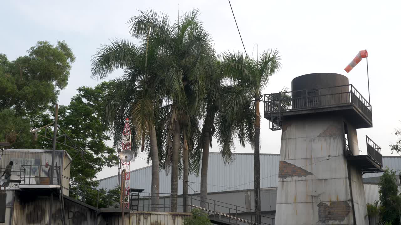 Palme che ondeggiano al vento su terreno industriale.