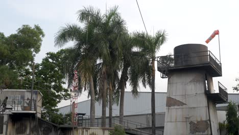 Palmeras-Ondeando-En-El-Viento-En-Terreno-Industrial