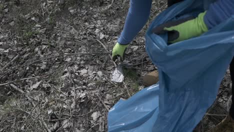 cleaning the forest from the trash