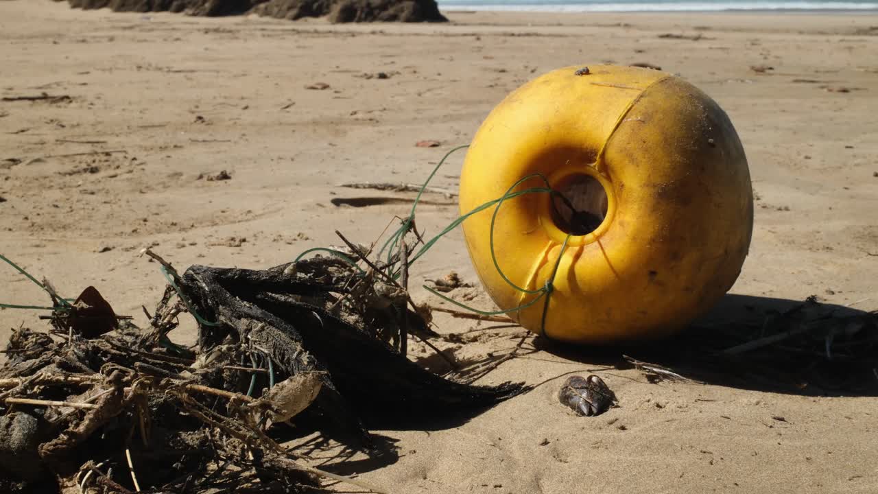 Disastro ambientale che mostra un uccello Hadeda morto intrappolato in una corda sintetica avvolta attorno a una boa di plastica gialla. Triste prova dell'inquinamento marino e del suo impatto fatale sulla fauna selvatica costiera.