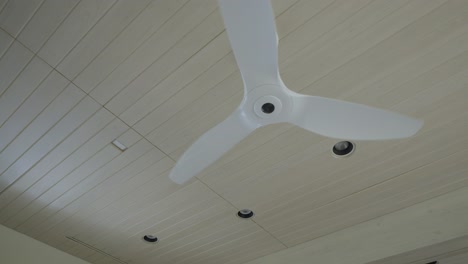 ceiling fan spins hypnotically against white wood ceiling