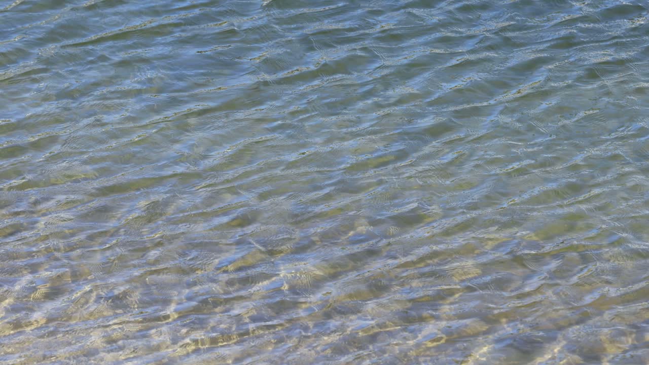 파도는 은 물 표면을 가로질러 부드럽게 파동합니다.