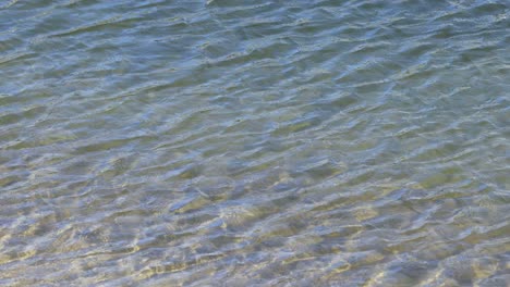 waves gently ripple across clear water surface