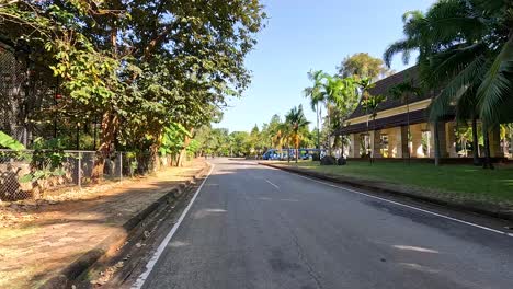 a peaceful road lined with lush trees